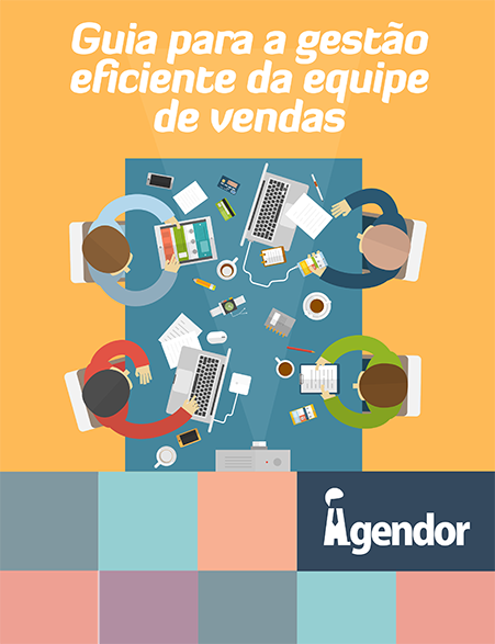 O Guia para a Gestão Eficiente da Equipe de Vendas